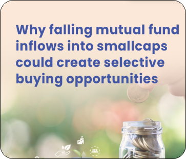 Why falling mutual fund inflows into smallcaps could create selective buying opportunities